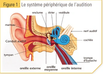 Soigner ses acouphènes: Quand la face cachée devient apparente